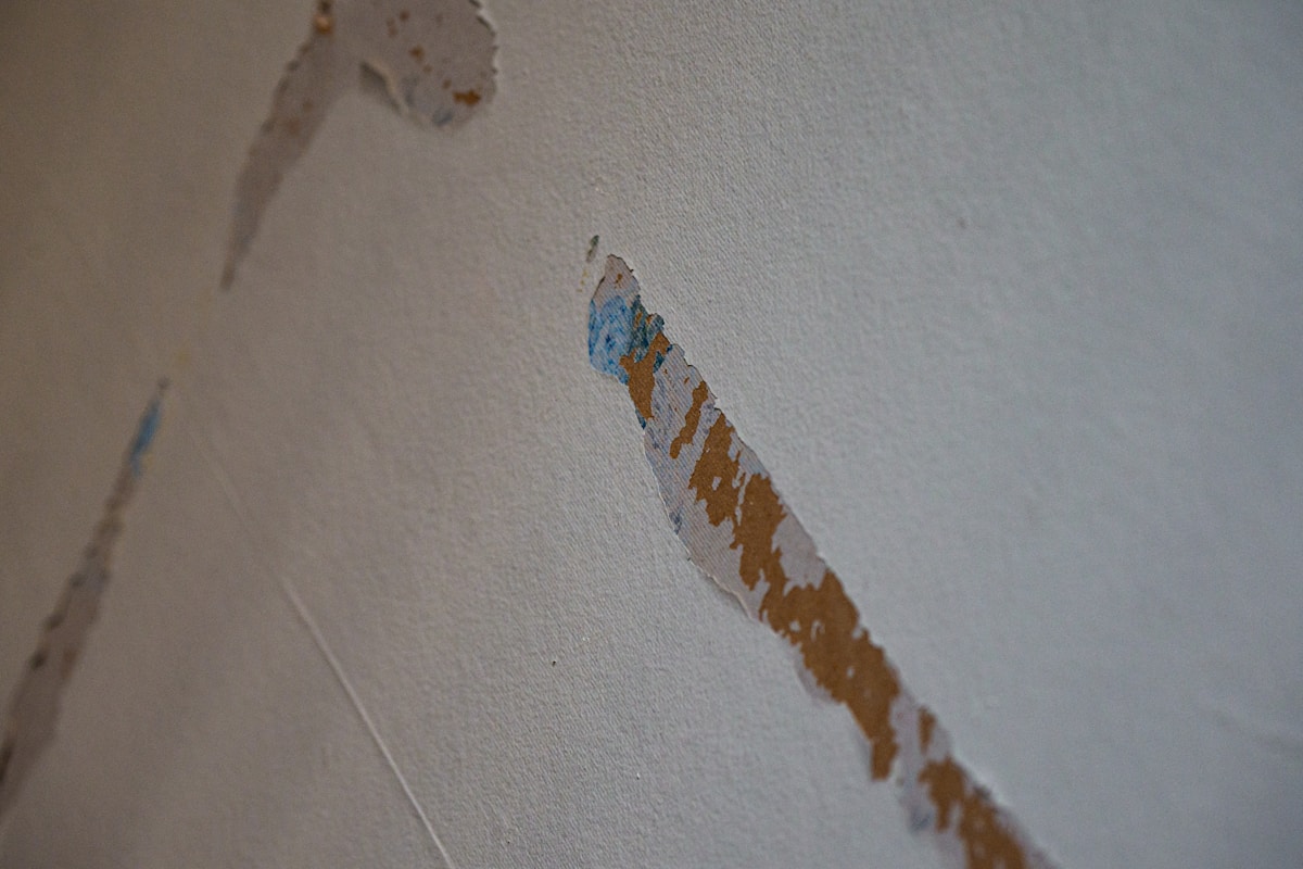 Basement Water Removal service in San Angelo, TX